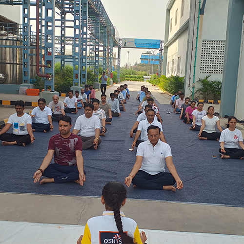 Yoga Day